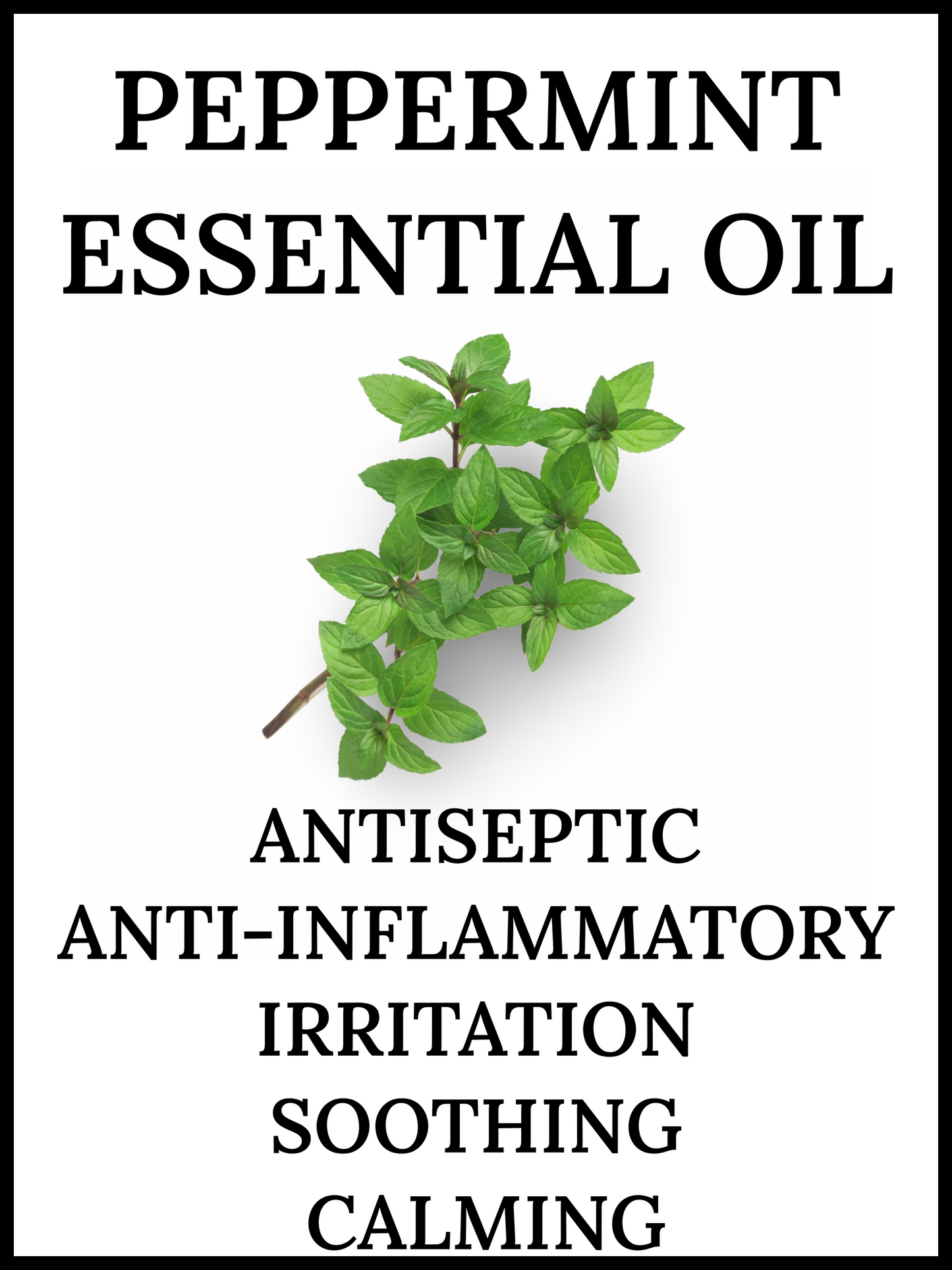 CHARCOAL PEPPERMINT GLYCERIN SOAP