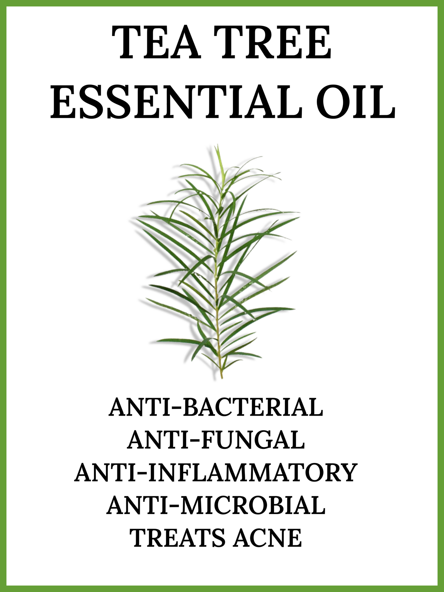 TEA TREE SPIRULINA FACE CLEANSING GEL (ST. CROIX PICK UP ONLY)