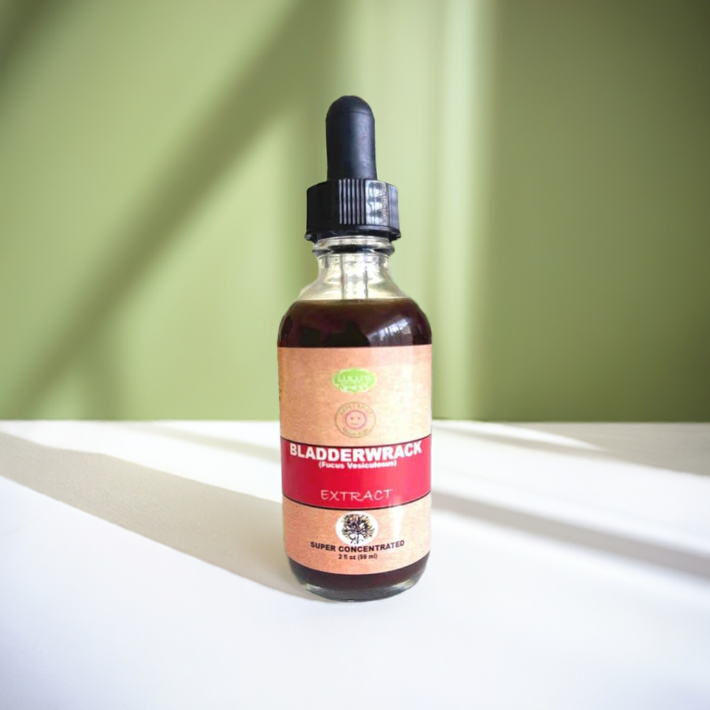 Wildcrafted Bladderwrack | Skin, Thyroid & Immune Support Sea Vegetable