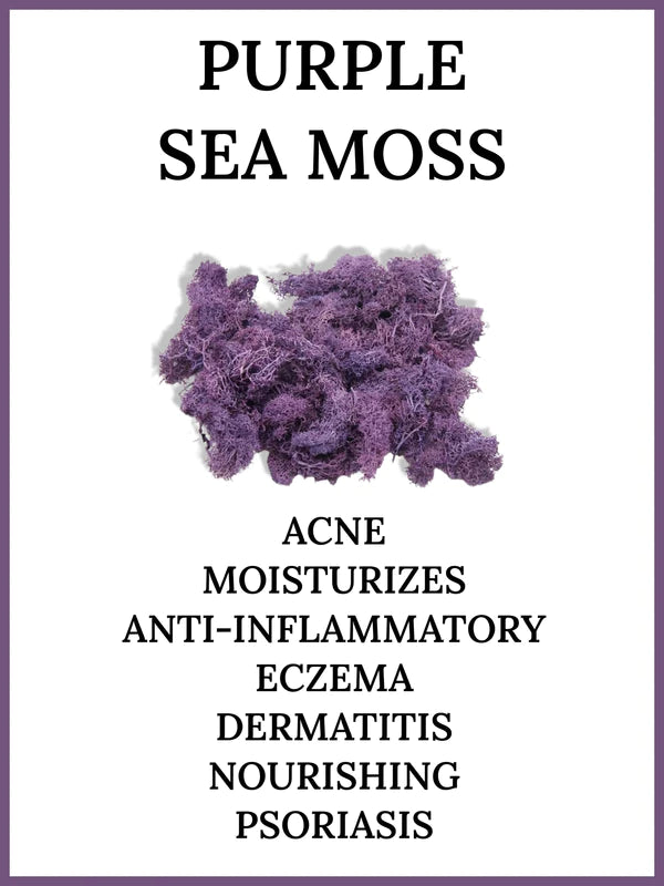 PURPLE SEA MOSS & BLADDERWRACK CAPSULES