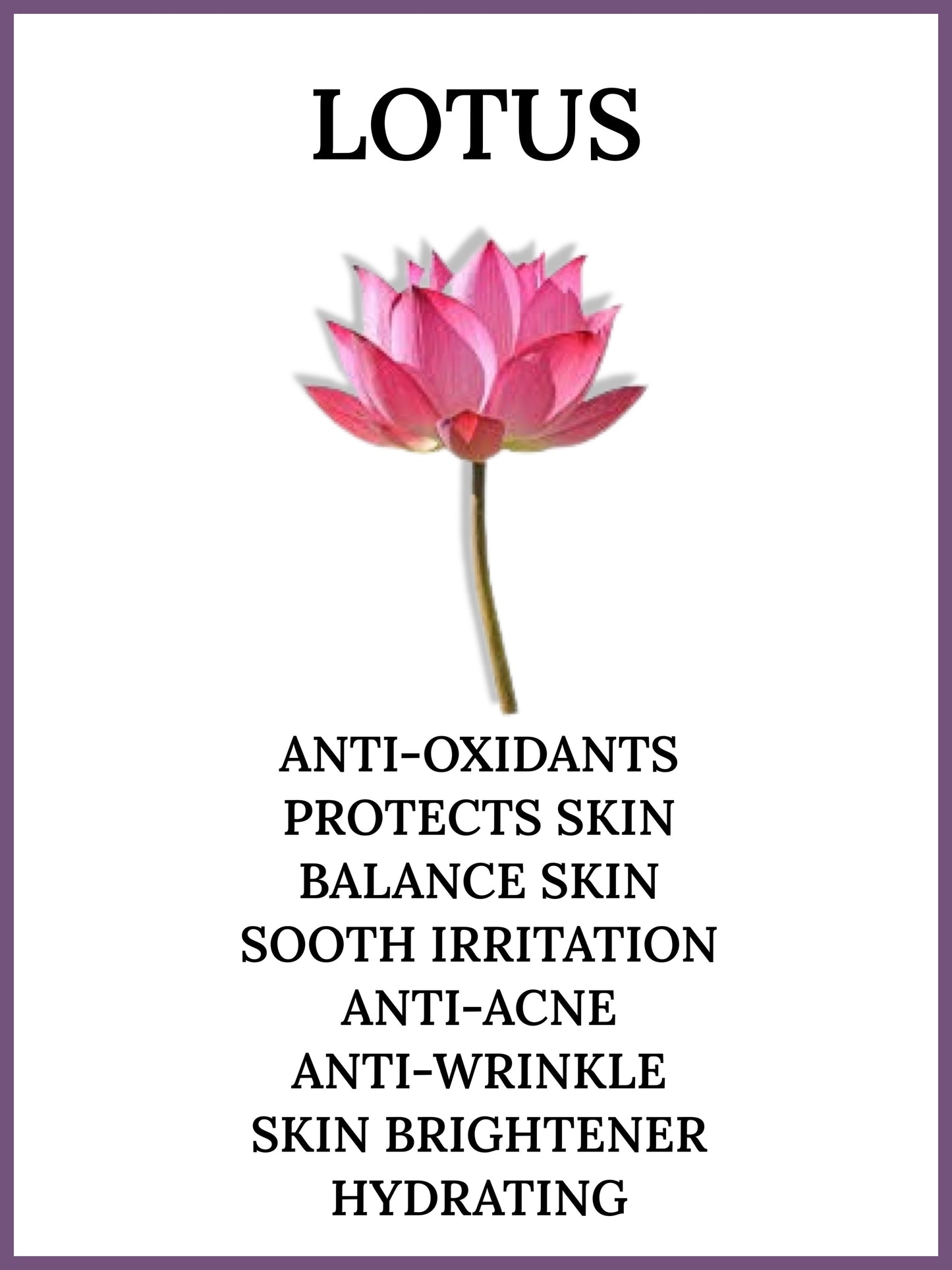 LOTUS FIRMING NECK CREAM