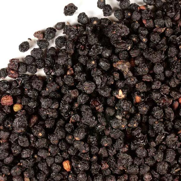 WHOLESALE ELDERBERRY SEED