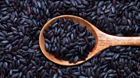 FORBIDDEN BLACK RICE