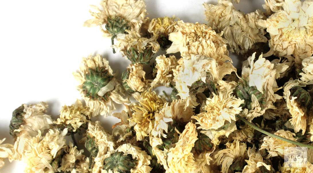 CHRYSANTHEMUM FLOWER