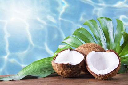 Oatmeal Coconut Shea Butter Soap for Dry & Sensitive Skin