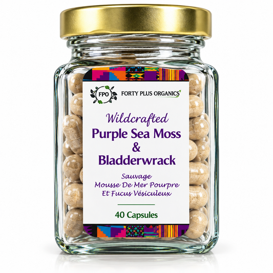 Organic Sea Moss + Bladderwrack Supplement | Vegan Wellness Capsules
