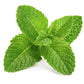 EUCALYPTUS & MENTHOL HERBAL SOAP