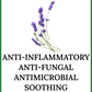 TEA TREE LAVENDER DEODORANT ( travel size)