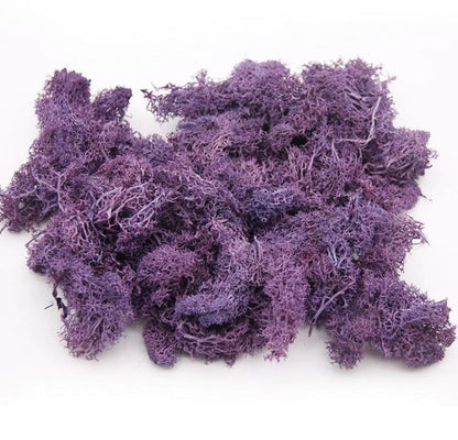 PURPLE SEA MOSS COCONUT GLYCERIN SOAP