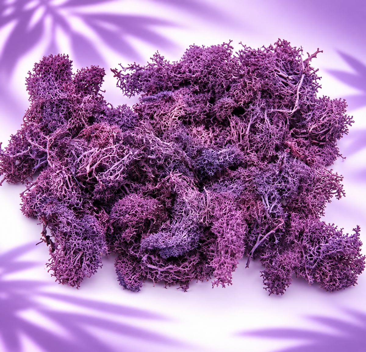 Rose Purple Sea Moss Hyaluronic Acid Serum for Hydration, Anti-Aging & Glowing Skin