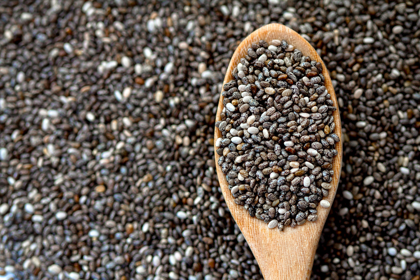     natural plant based omega 3 chia seeds”