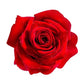 ROSE FACE CREAM
