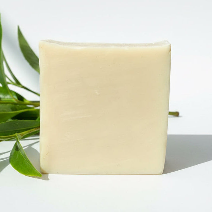 Tea tree shea butter soap for acne, oily skin, and dark spots – natural antibacterial plant-based bar