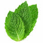 LIQUID CHLOROPHYLL