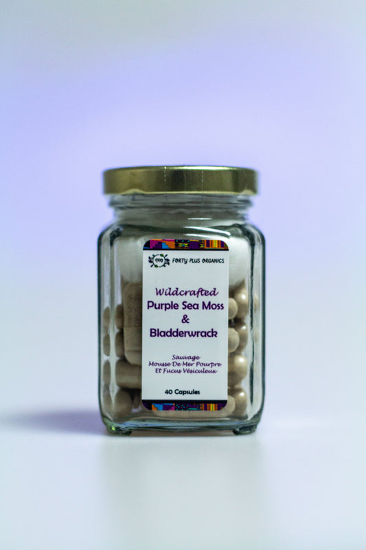 purple sea moss and bladderwrack