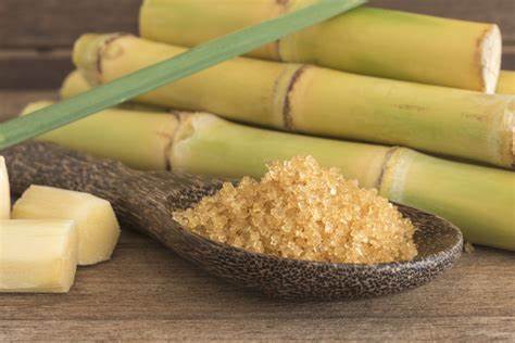RAW SUGAR CANE