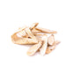 PEONY ROOT